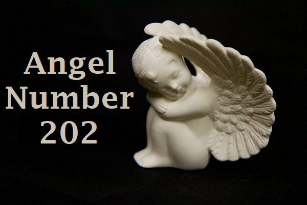 Angel Number 202 Meaning