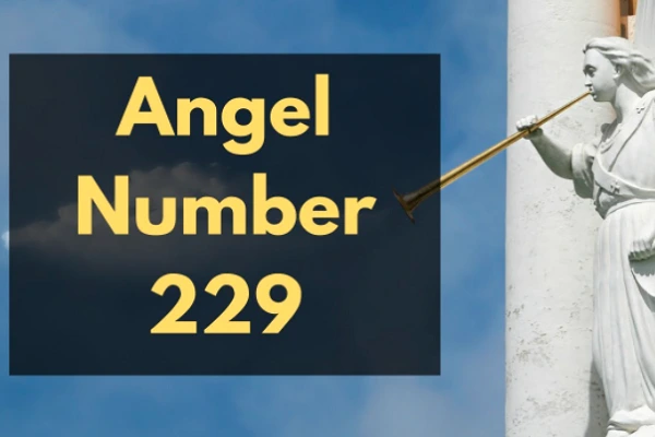 Angel Number 229 Meaning