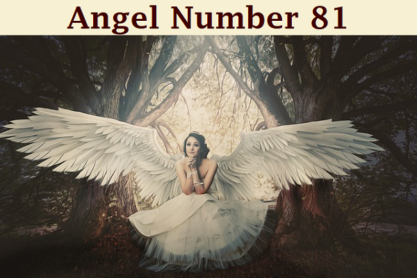 Angel Number 81 Meaning
