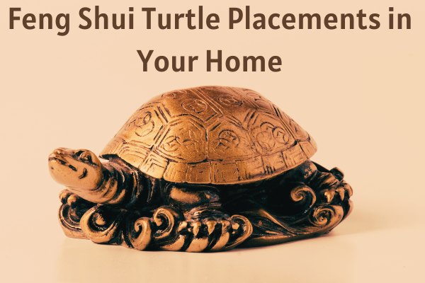 Feng Shui Turtle Placements in Your Home