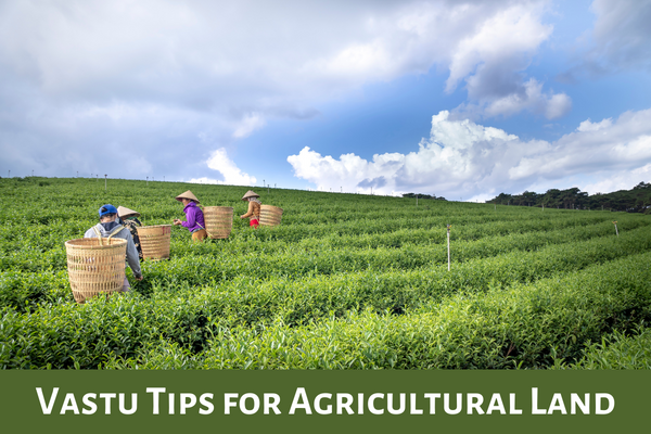 Vastu Tips for Agricultural Land
